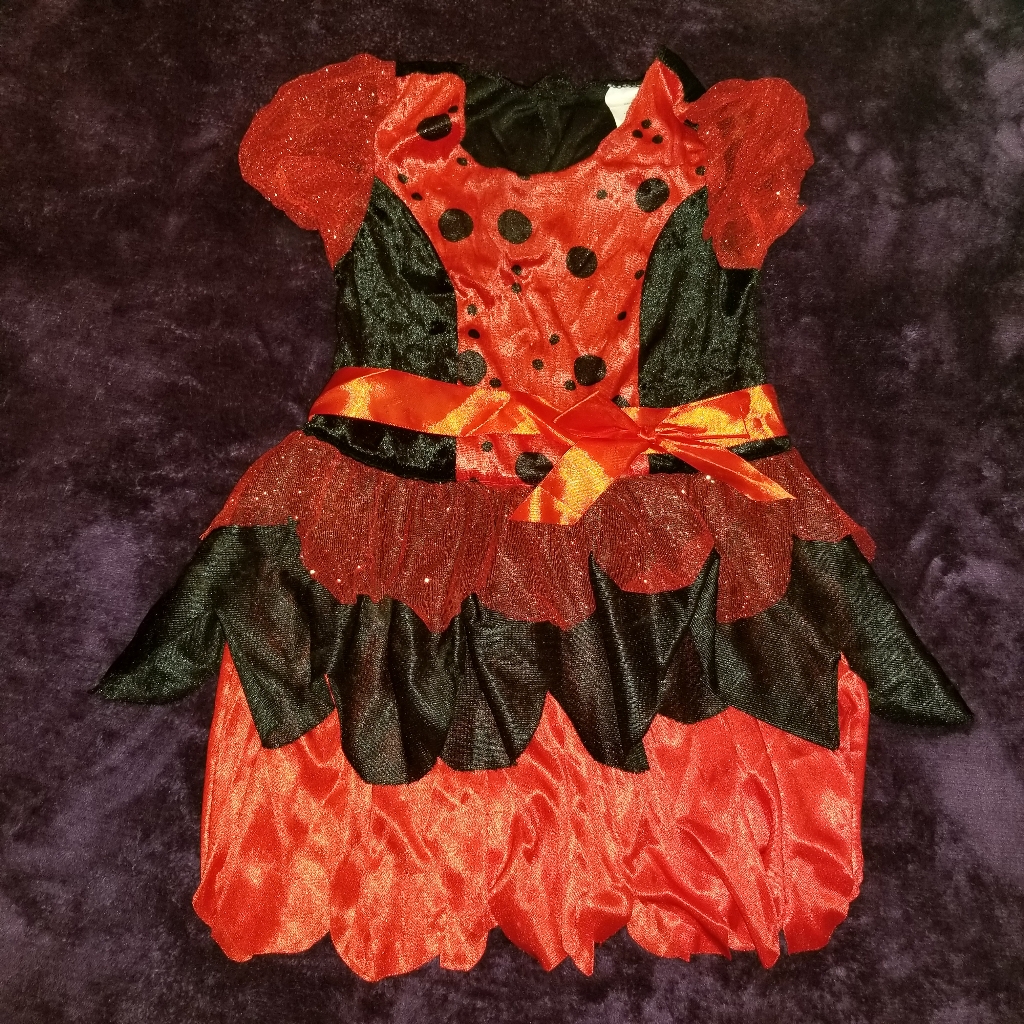 Hostpick Lady Bug Costume